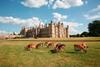 Burghley House